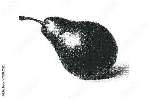 Textured Pear Isolated on White. Vector hand drawn illustration