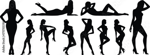 Female silhouette poses, fashion woman figure, stylish body posture, standing and lying positions, elegant model artwork, shadow design illustration collection