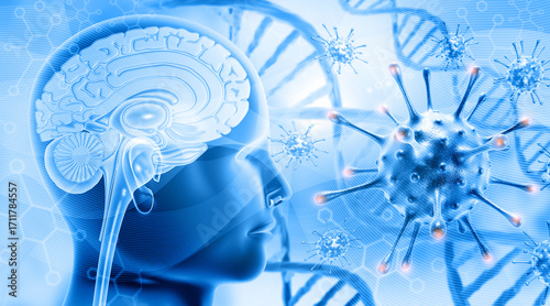 Human brain cross section anatomy with virus dna, scientific background. 3d illustration