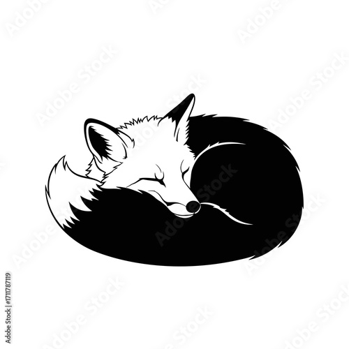Sleeping fox curled up in a ball silhouette isolated on white background