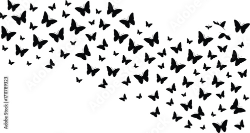 "Flying butterflies silhouette vector, butterfly swarm illustration, black butterfly icons isolated on white background, insect migration design, decorative butterfly pattern art"