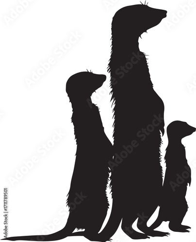Alert meerkats stand guard as a family watches intently