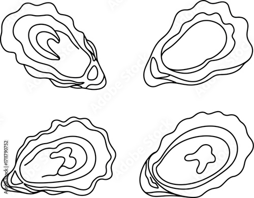 Four stylized line art oysters arranged in a pleasing composition on a white background