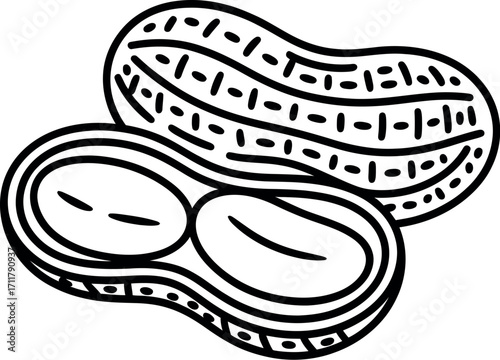Simple line drawing of peanuts, one whole and one split open revealing the nuts inside.