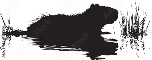 Capybara silhouette in water with grass reflections