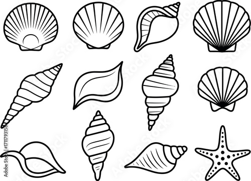 Collection of diverse seashells and a starfish arranged on a white background