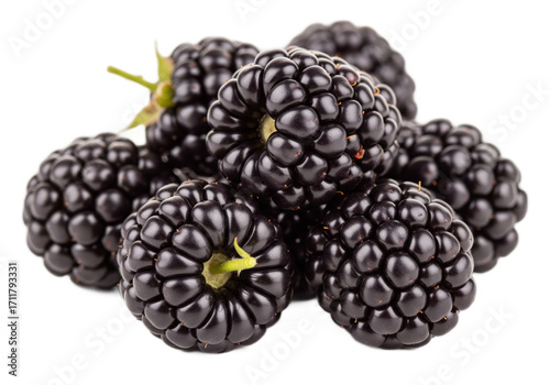 A close-up view of several fresh blackberries
