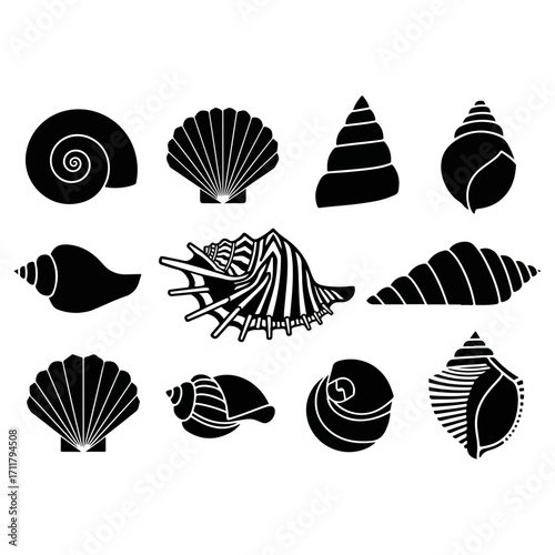 Various black and white seashell silhouettes on white background.