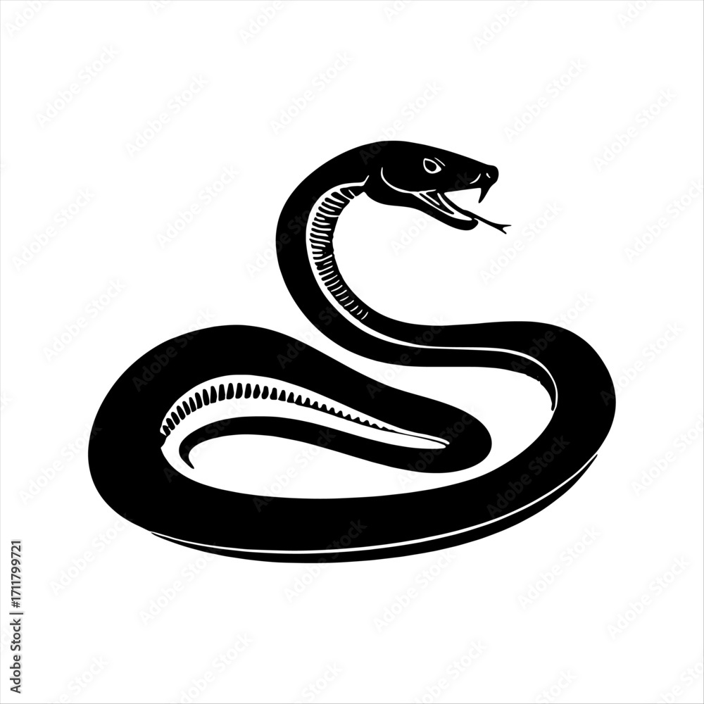 Fototapeta premium Black mamba Vector Images. Black and white Mamba Snake Images isolated on white background