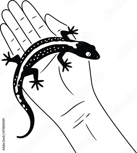 Black and white sketch of a lizard perched on an open hand showing delicate details and lines