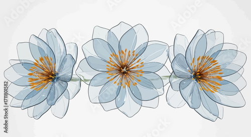 Delicate translucent blue flowers with vibrant orange centers create an elegant floral arrangement