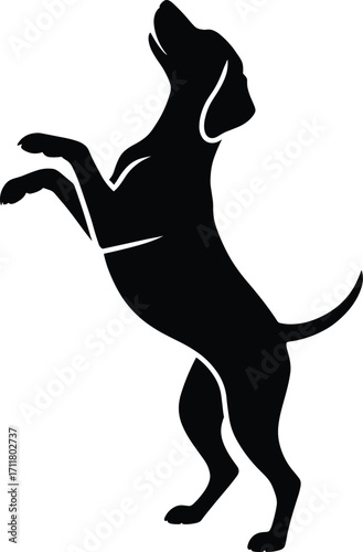 Playful dog silhouette standing on hind legs reaching upward in anticipation