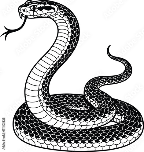 Aggressive cobra snake coiled ready to strike detailed ink drawing danger warning symbol