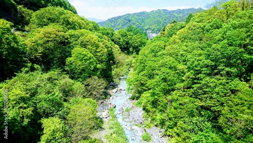 Valley Stream Surrounded by Fresh Greenery