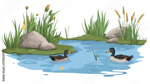 A digital illustration depicting two ducks swimming in a calm pond.  The pond is surrounded by various types of aquatic plants, including grasses and reeds.  Rocks and stones are visible along the