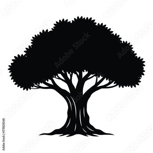 Majestic silhouette of a mature tree with dense foliage and strong trunk silhouette