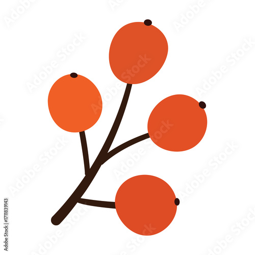 Autumn berry branch illustration with bright orange fruits and simple minimal design