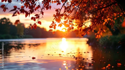Sunset over lake autumn leaves
