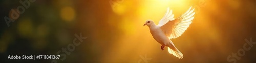A single dove descending, bathed in golden light, symbolizing hope, peace, and spiritual renewal Perfect for religious or inspirational projects , soul, mercy, faith