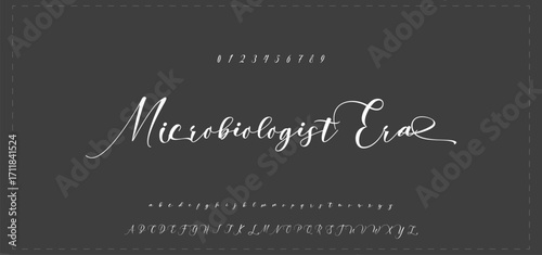 Signature Vector. hand drawn Autograph. Written black sign isolated on background. Handwritten autograph. Handwriting scribble by pen. Writing sign sketch. Write scribbles line. Scrawl signature