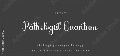 Signature Vector. hand drawn Autograph. Written black sign isolated on background. Handwritten autograph. Handwriting scribble by pen. Writing sign sketch. Write scribbles line. Scrawl signature