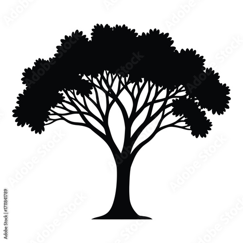 Silhouette of a broad tree with intricate branches and lush green foliage silhouette
