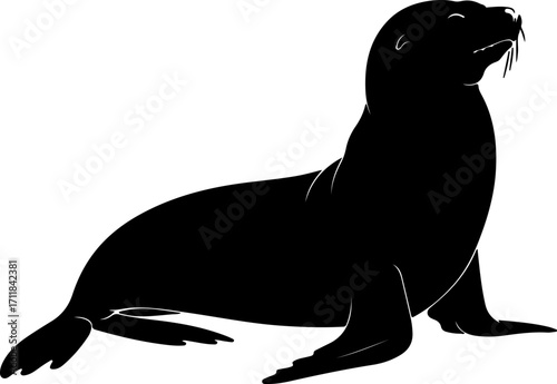 Silhouette of a seal basking in the sun, showcasing its sleek form and characteristic whiskers in a minimalist, artistic representation