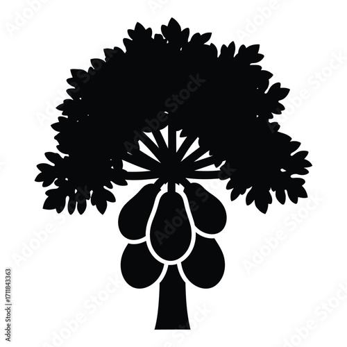 Silhouette of a papaya tree with ripe fruit for tropical harvest and organic farming concepts silhouette