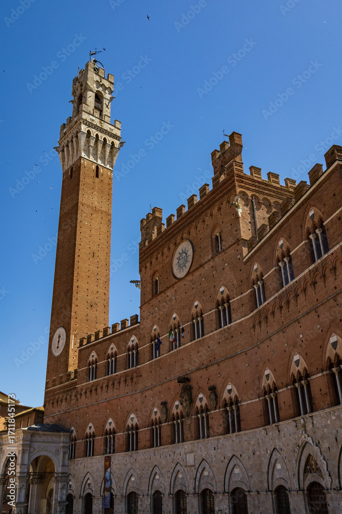 Obraz premium view of Piazza del campo in Siena with Palazzo Pubblico e Torre del Mangia