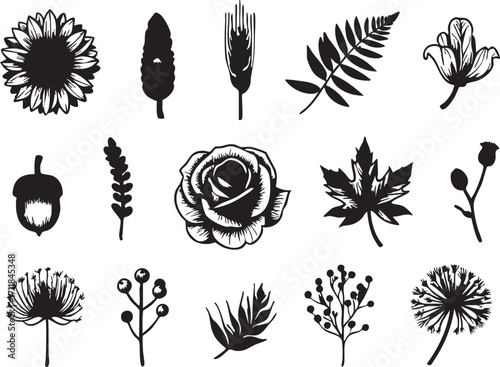 Black and white flower and plant vector set: sunflower, rose, maple leaf, dandelion, and more eps silhouette