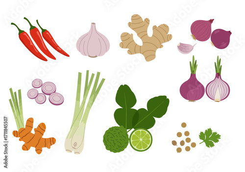 A colorful array of cooking ingredients chillies garlic ginger onions turmeric lemongrass kaffir limes coriander seeds cilantro