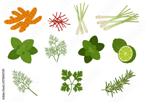 An illustration showcases various culinary herbs and spices