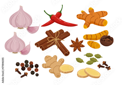 Spice set garlic chili peppers cinnamon ginger turmeric cardamom star anise peppercorns cloves culinary herbs