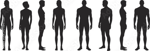 Male and female silhouette standing, front and side body view, human figures, anatomy shapes, isolated black vector, diverse gender models, realistic body posture illustration.