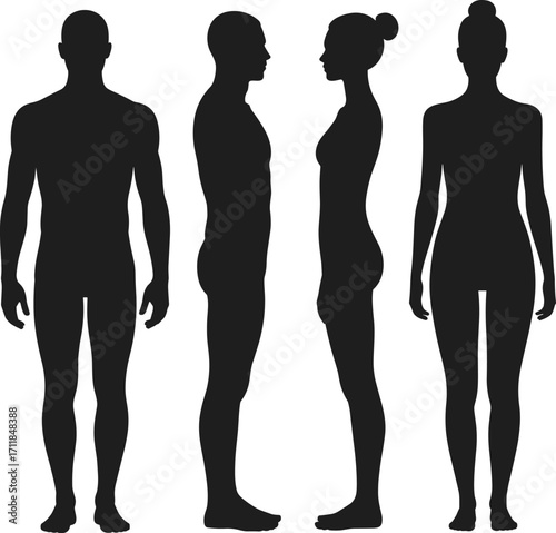 Male and female silhouettes standing together, front and side view, human body outline, anatomy shapes, gender contrast, black figures isolated on white background, vector illustration.