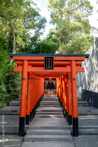 Torii gates of Ikuta Inari shrine in Kobe, Japan