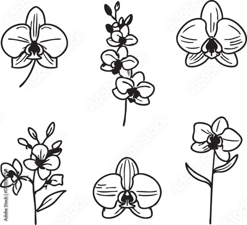 Orchid flower vector set: black and white line art illustrations eps silhouette