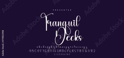 Hand drawn calligraphic vector font. Distress grunge texture. Modern script calligraphy type. ABC typography latin alphabet.