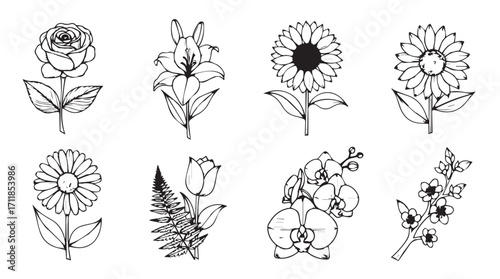 Collection of eight delicate hand drawn floral illustrations in a distinct silhouette style