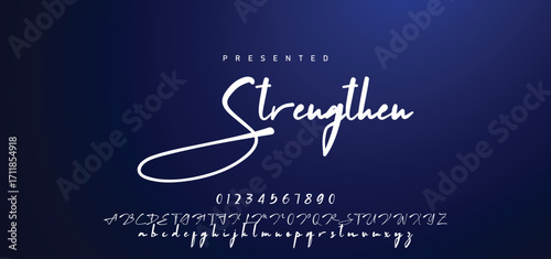 Hand drawn calligraphic vector font. Distress grunge texture. Modern script calligraphy type. ABC typography latin alphabet.