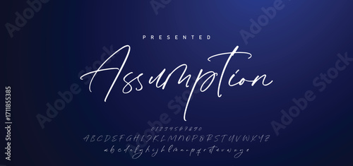 Hand drawn calligraphic vector font. Distress grunge texture. Modern script calligraphy type. ABC typography latin alphabet.