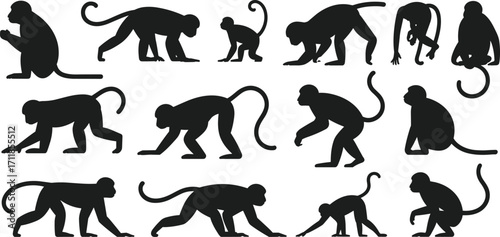 Monkey silhouette collection, primate vector set, sitting monkey, walking monkey, crawling monkey, black monkey shapes, wildlife animals, jungle mammal silhouettes, tropical species, isolated clipart