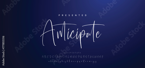 Hand drawn calligraphic vector font. Distress grunge texture. Modern script calligraphy type. ABC typography latin alphabet.