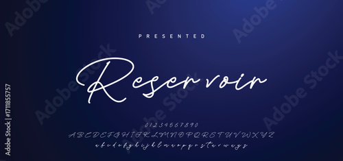 Hand drawn calligraphic vector font. Distress grunge texture. Modern script calligraphy type. ABC typography latin alphabet.