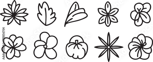 Floral vector pack: hand-drawn flower and leaf outlines for design projects eps silhouette