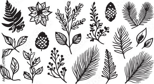 Black and white botanical vector illustration: ferns, leaves, pine cones, and floral elements eps silhouette