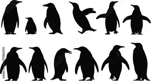 Penguin silhouette vector collection, black penguin icons set, walking and standing penguins, wildlife bird graphic, flightless birds, animal shape illustration isolated