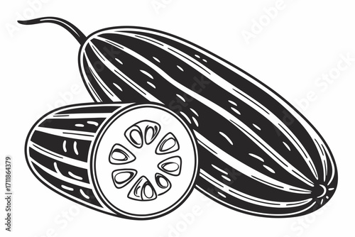 Black and White Illustration of Ridge Gourd.