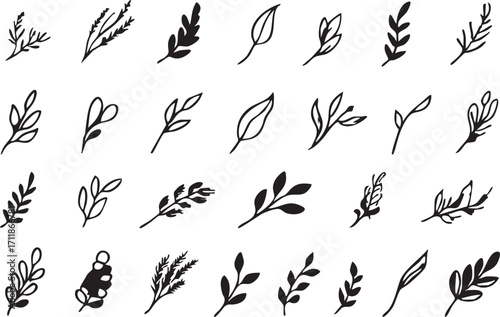 Leaf vector pack: hand drawn botanical elements for graphic design eps silhouette