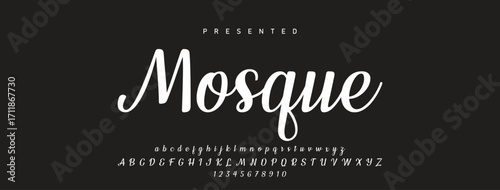 Bold and script alphabets. Vector font duo.